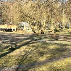 23-02-13 14-03-43 4209